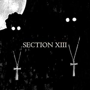 Section XIII