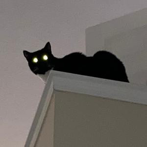 U don't get it (feat. J.A.S.E.) (Explicit)