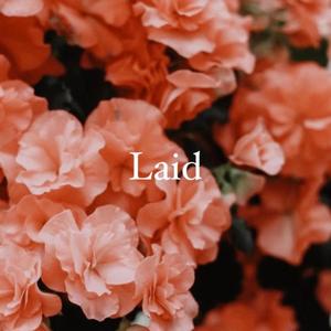 LAID(feat. adway® & Rookie)