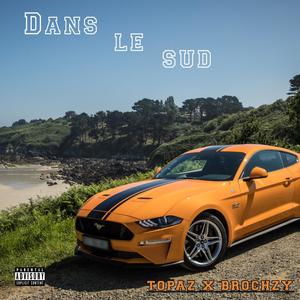 Dans le sud (feat. Brochzy) [Explicit]