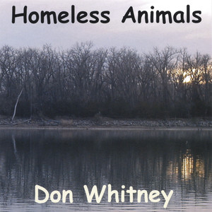 Homeless Animals