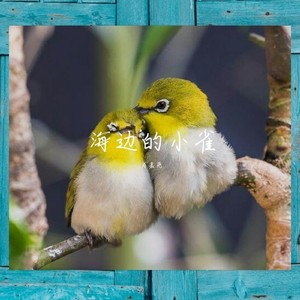 海边的小雀
