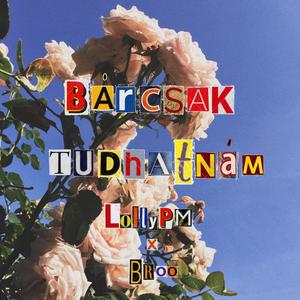 Bárcsak Tudhatnám (feat. BROO) [Explicit]