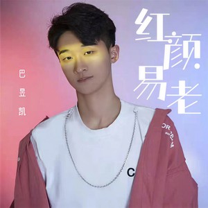 红颜易老 (DJ默涵版)