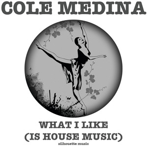 What I Like (Is House Music) (L'Equipe Du Son Remix)