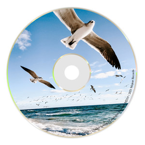 Pebbles (Original Mix)