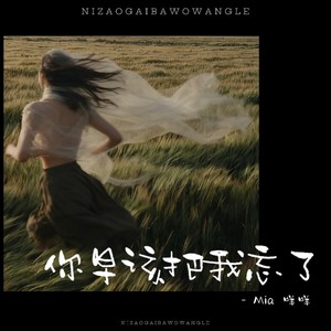 你早该把我忘了