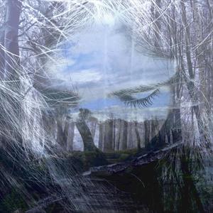 Aestia(feat. Narrow Skies)