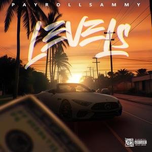 Levels (Explicit)