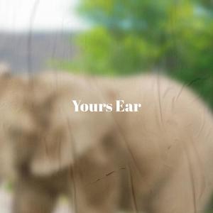 Yours Ear