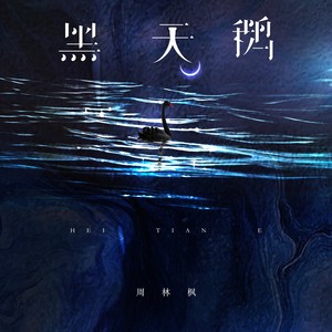 黑天鹅