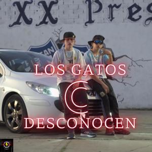 los gatos C desconocen (feat. Akino) [Explicit]