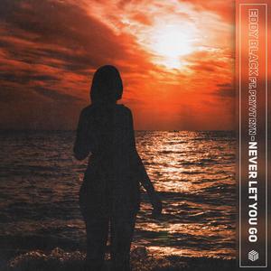Never Let You Go (Extended Mix)