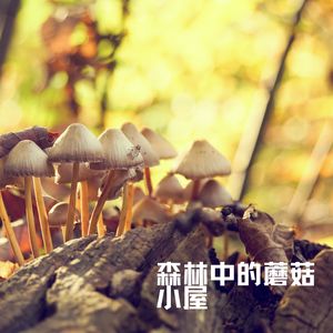 蘑菇小屋的晨露之音 (悠远)
