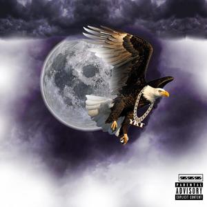 Pressure Applied (Explicit)