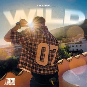 Wild (feat. Mergeis, jk.onthetrack & prod Rio) (Explicit)