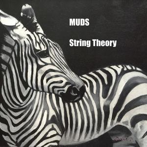 String Theory (feat. Will Alter,Adrian Ego,Renaud Santarelli & Sébastien Gavet)