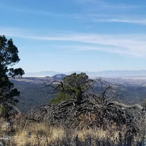 End Stage (feat. Dazathamé)