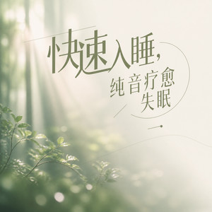 篝火燃烧的声音  平静心情  治愈失眠 (DJ长音频)封面