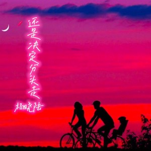 还是决定分头走