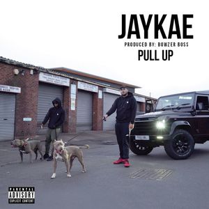Pull Up(feat. Bowzer Boss) (Explicit)