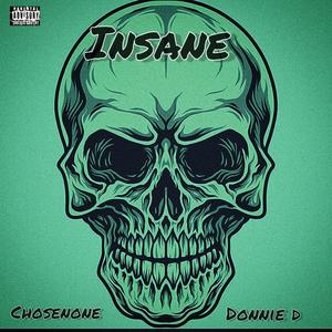 Insane (feat. Donnie D) [Explicit]