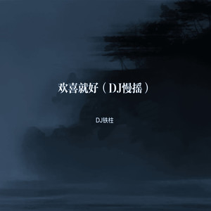 DJ铁柱 - 欢喜就好 (DJ慢摇)