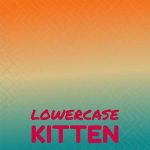 Lowercase Kitten