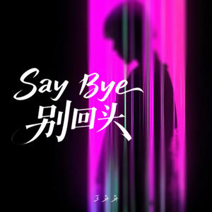 王年年 - Say Bye别回头 (DJ豪大大版)