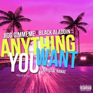 Anything You Want (Explicit)