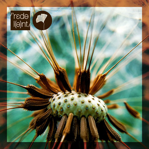 Drums Please (Yotam Avni Extended Remix)