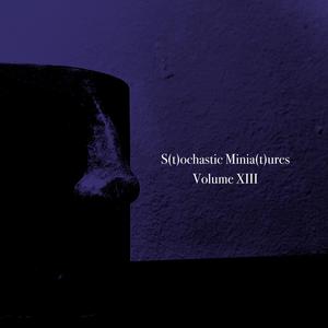 Stochastic Miniatures, Vol. XIII