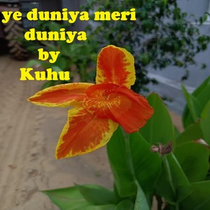 Ye duniya meri duniya