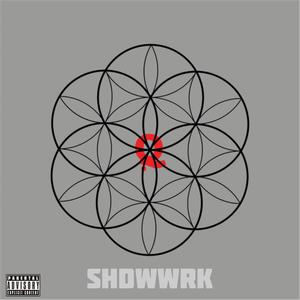 SHADOW WORK (Explicit)