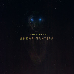 Дикая пантера