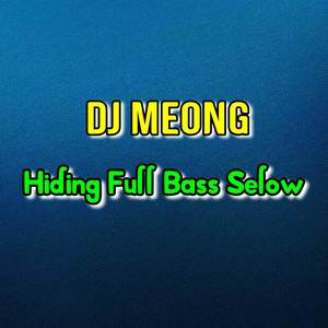 Hiding Full Bass Selow