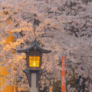 你早已落入我的手掌