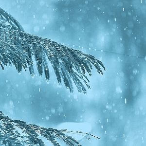 从容的学习印象数