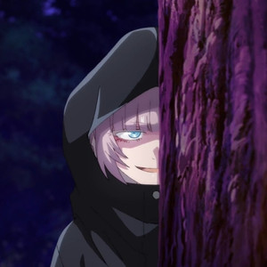 猫之茗-普洱 - 欧克瑟专用曲