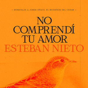 No Comprendí Tu Amor(Jorge Oñate: Un Tributo)