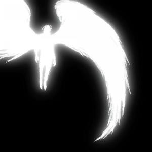 angel.avi (super slowed)