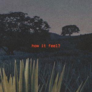 How It Feel ? (Explicit)