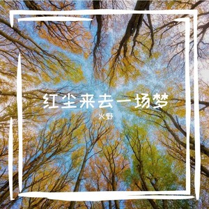 红尘来去一场梦