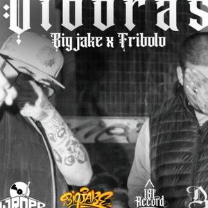 Viboras BigJake (feat. Fribolo) [Prod. 181Records & DjRopo] [Explicit]