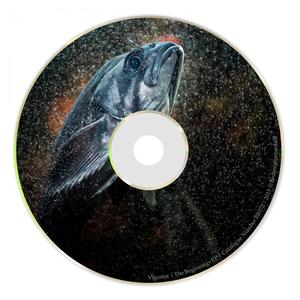 War On Our World (Original Mix)