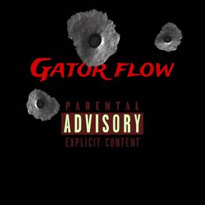 Gator flow (Explicit)