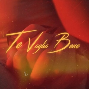 Te Voglio Bene