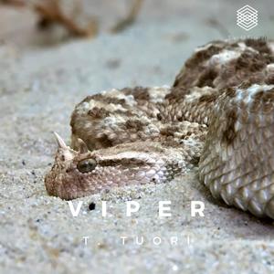 Viper (feat. Felipe V.)