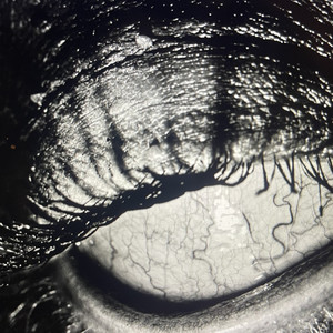 The Seasons, Op. 1: XII December (Death of a Clown)