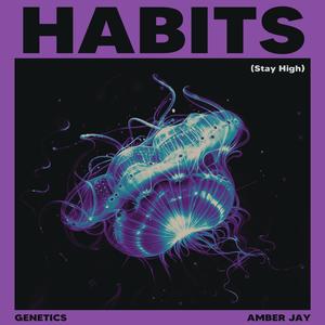Habits (Stay High)